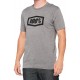 T-Shirt 100% Icon Heather Gray