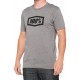 T-Shirt 100% Icon Heather Gray