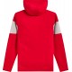 Sweat Alpinestars Cubic Hoodie Red / Cement