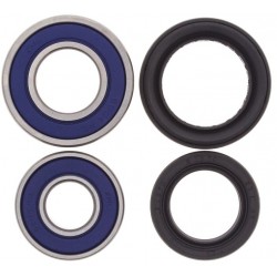 Kit Rolamentos Roda Da Frente Trx 250