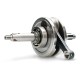 Cambota YX125-2 Allpro Pitbike