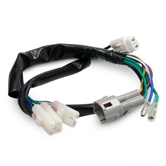 Instalação elétrica para motor YX 6 pinos resistente à água Allpro Pitbike