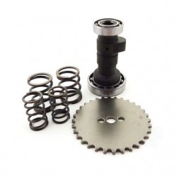 Kit árvore de cames ZCam motor ZS125F Allpro Pitbike