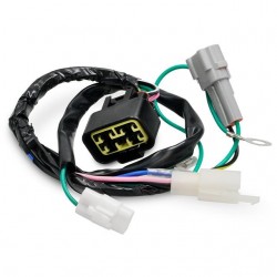 Instalação elétrica motor Zongshen Allpro Pitbike