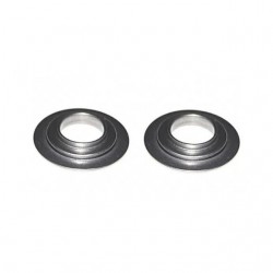 Assento de mola de válvula motor ZS190 Zongshen 2 unid. Allpro Pitbike