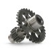 Engrenagem primária motor Allpro MX 50 2025