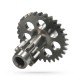 Engrenagem primária motor Allpro MX 50 2025