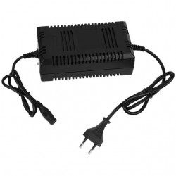 Carregador de alta qualidade 48V Quad elétrico QX-E Allpro