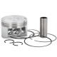 Cilindro Allpro Sym 125 4T / Peugeot Django Tweet 125cc 4T