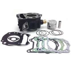 Cilindro Allpro / X7 / GTS 125 d=57mm Piaggio Leader LC MP3