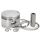 Cilindro Allpro d=52,4mm Honda SH 125 01-12