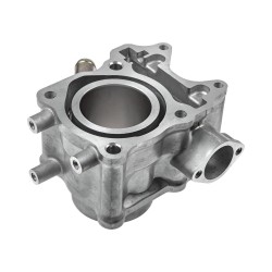 Cilindro Allpro d=52,4mm Honda Forza 125 15-19