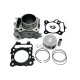 Cilindro Allpro Honda SH / Forza / ADV 350cc >2021