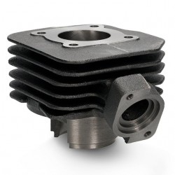 Cilindro Allpro 50cc vertical AC Peugeot