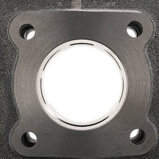 Cilindro Allpro 50cc vertical AC Peugeot