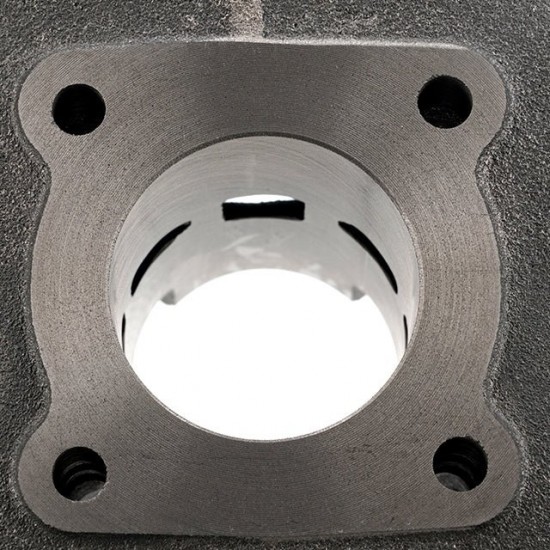 Cilindro Allpro 50cc vertical AC Peugeot