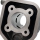 Cilindro Allpro 50cc vertical LC Peugeot