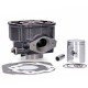 Cilindro Allpro 50cc Derbi euro 2