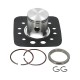Cilindro Allpro Iron 70cc d=46mm Yamaha DT50 LC
