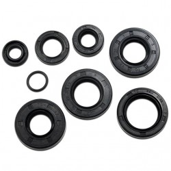 Retentores motor Allpro Minarelli AM6