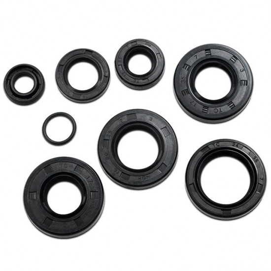 Retentores motor Allpro Minarelli AM6