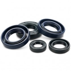 Retentores motor Allpro Derbi euro 3 / euro 4