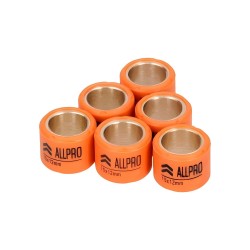 Roletes 6 unidades 15x12 Allpro
