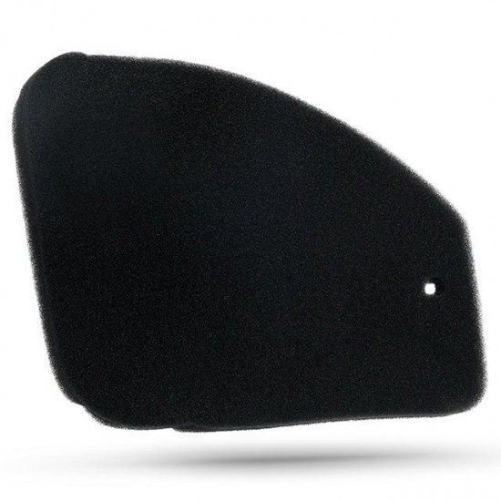 Esponja de filtro de ar Allpro Peugeot Speedfight 1/2 / Trekker / Vivacity
