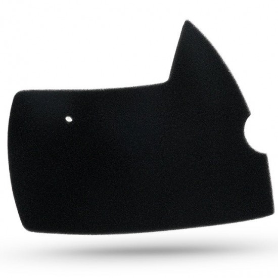 Esponja de filtro de ar Allpro Peugeot Ludix 50 2t