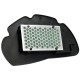 Filtro de ar Allpro Honda PCX 125/150 10-11
