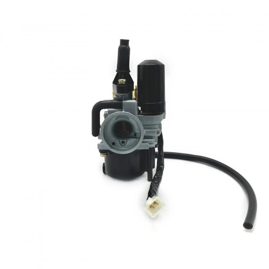 Carburador Allpro tipo Gurtner 12mm Peugeot Ludix / Kisbee 50 2T