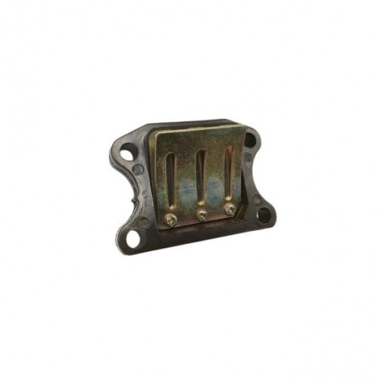 Caixa de lamelas vertical Speedfight 2 / Trekker Allpro Peugeot