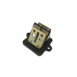 Caixa de lamelas horizontal Speedfight 3 / 4 / Kisbee Allpro Peugeot