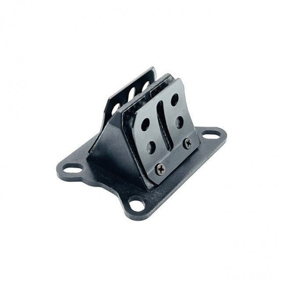 Caixa de lamelas Allpro carbono Minarelli AM6 / Derbi