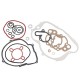 Juntas de motor Allpro Minarelli AM6 >2000