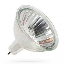 Lâmpada halogénea dicromática 12V / 20W d.50mm Allpro