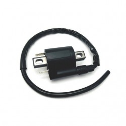 Bobine ignição de alta Allpro Yamaha Neo's 50 4T / X-Max 125/250/400 / YBR 125