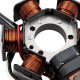 Estator de ignição Allpro Derbi GPR / Senda 50 / Aprilia RS 50