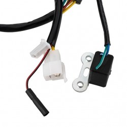 Estator de ignição Allpro Kymco Dink 125/150