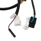 Estator de ignição Allpro Kymco Dink 125/150