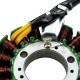 Estator de ignição Allpro Yamaha X-Max 125 2006-2019 18 Polos