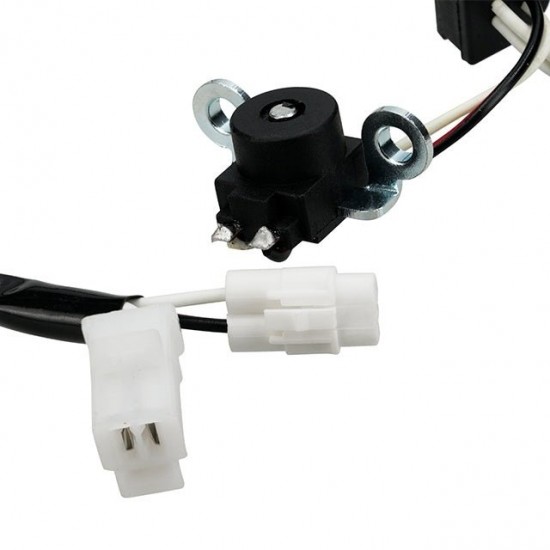 Estator de ignição Allpro Yamaha X-Max 125 2006-2019 18 Polos