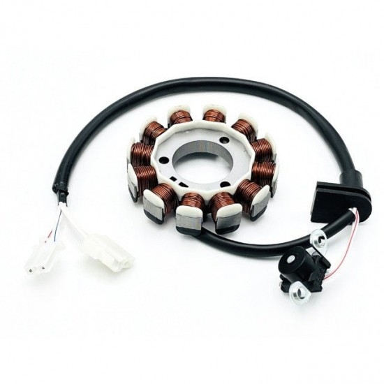 Estator Allpro Yamaha N-Max 125 15-20 / 155 17-19