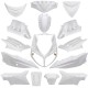 Kit Carenagens 15 peças Allpro Peugeot Speedfight 2