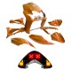 Carenagens traseiro Linha preta Allpro Yamaha Jog R/RR >03 + Farolim