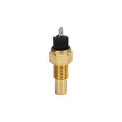 Sensor de temperatura motor AM6 Allpro Generic Trigger