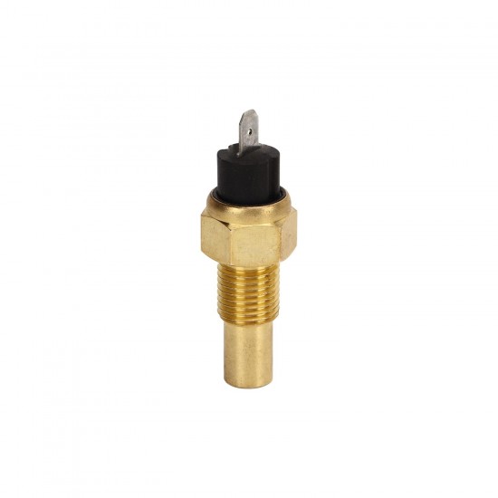Sensor de temperatura motor AM6 Allpro Generic Trigger