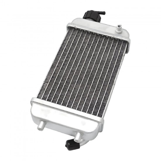 Radiador Allpro Motorhispania Furia Enduro / SM / Peugeot XP6