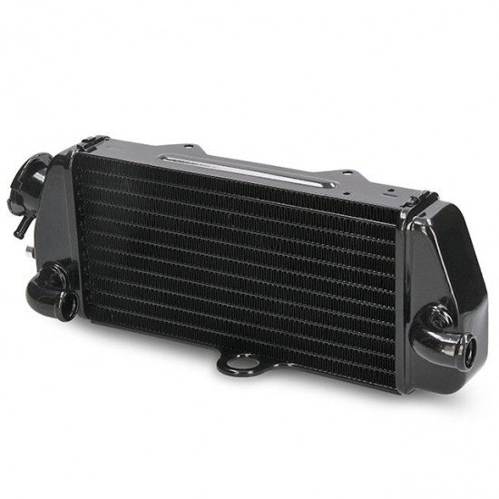 Radiador Allpro Beta RR 50cc >05