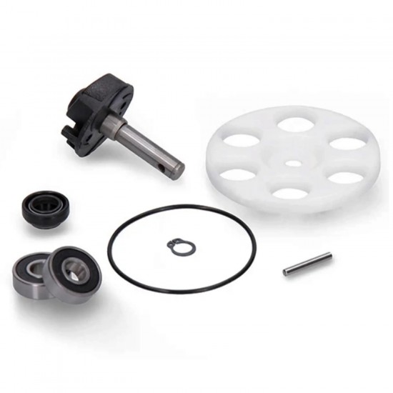 Kit de reparação da bomba de água horizontal Allpro Minarelli